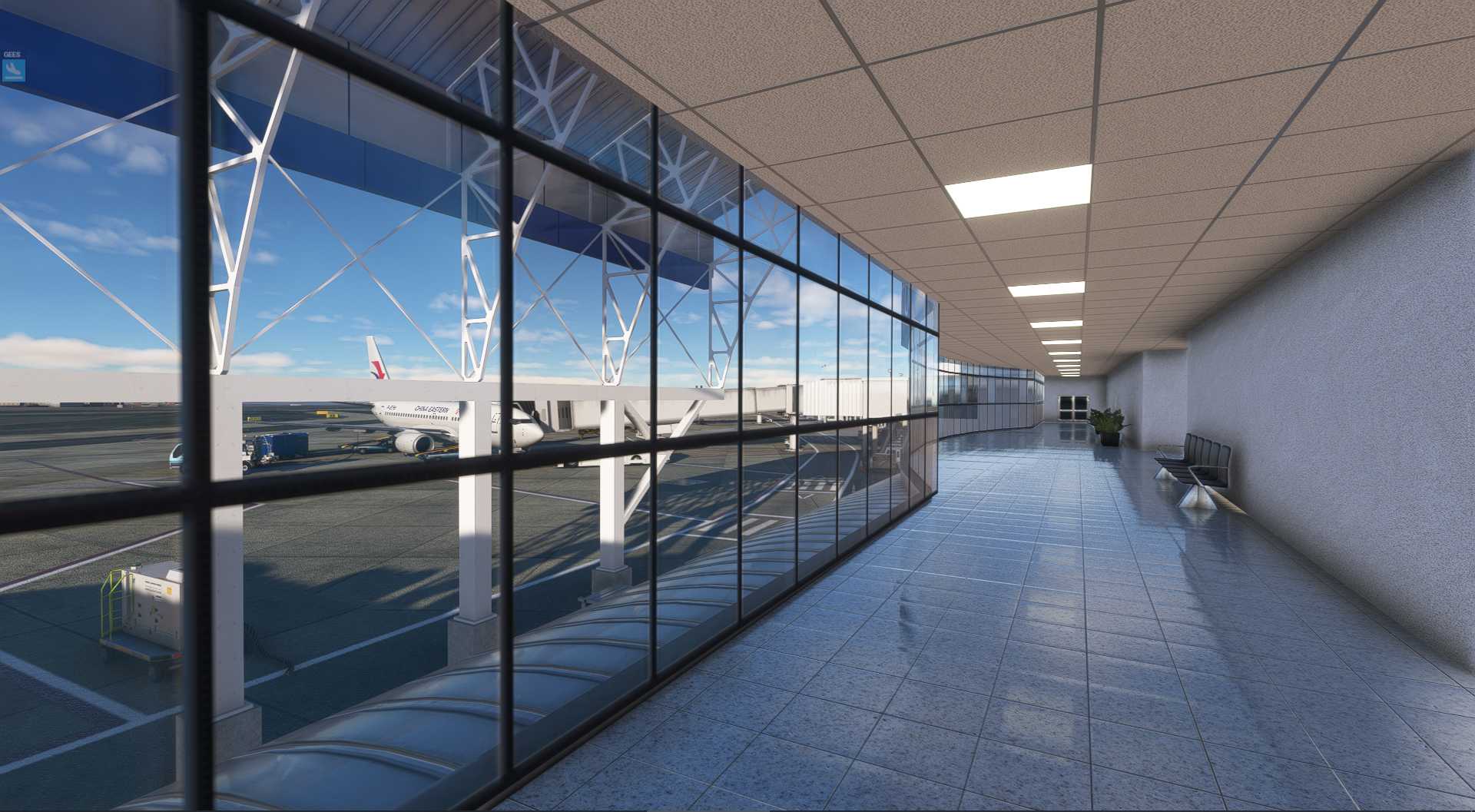 MSFS20  SLLP--SCFA-448 