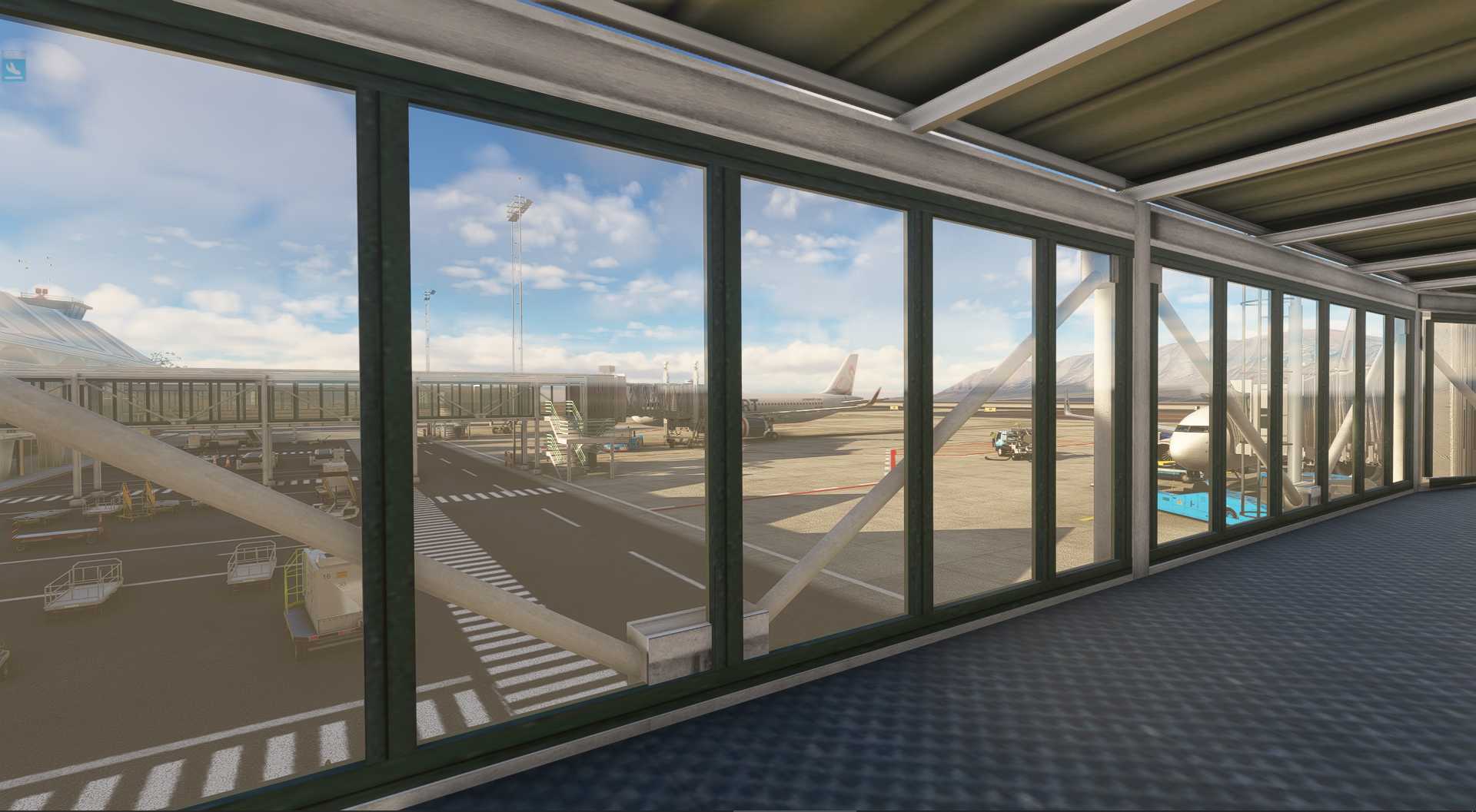 MSFS20  SCFA---SASA-7546 